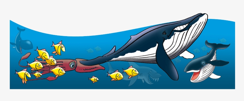 All The Flying Creatures - Striped Dolphin, transparent png