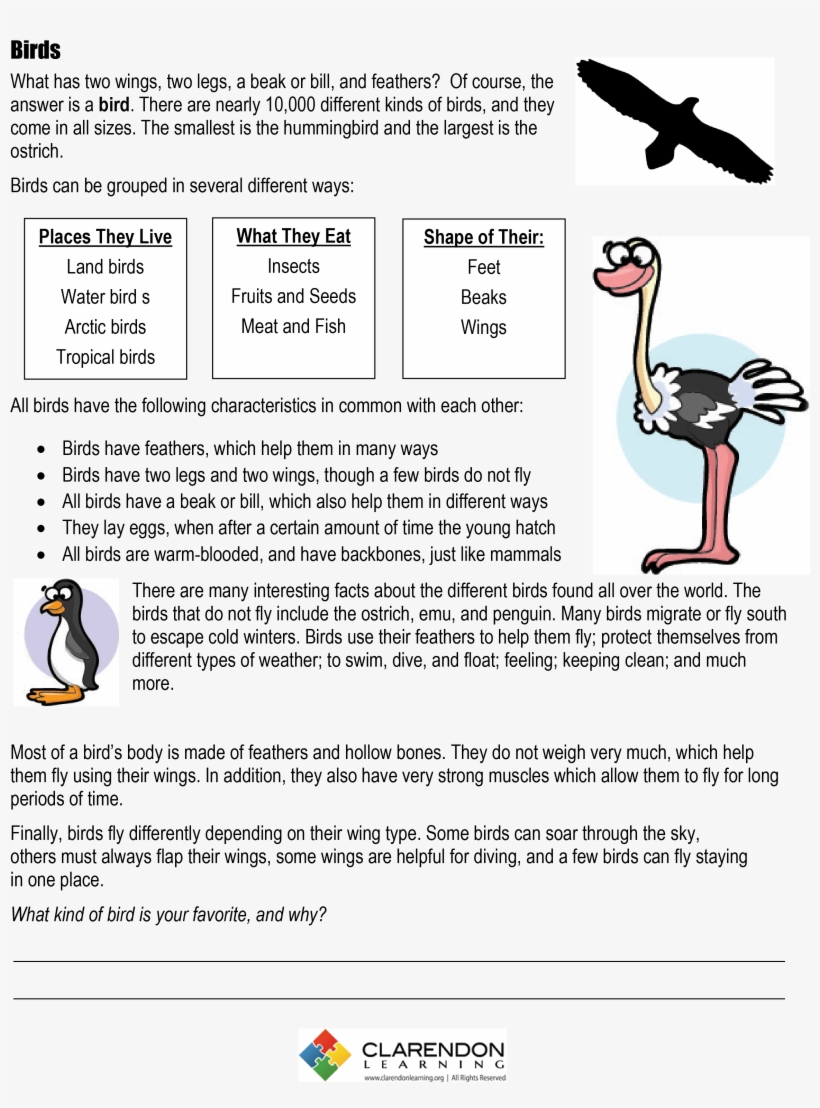 S-introduction To Birds - Common Characteristics Of Birds, transparent png