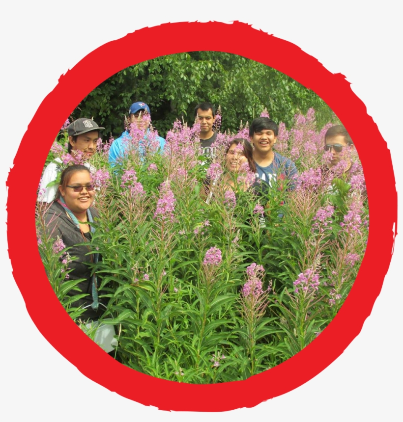 “we Brought Back Culture And Traditions Of The Gitxsan - Trust, transparent png