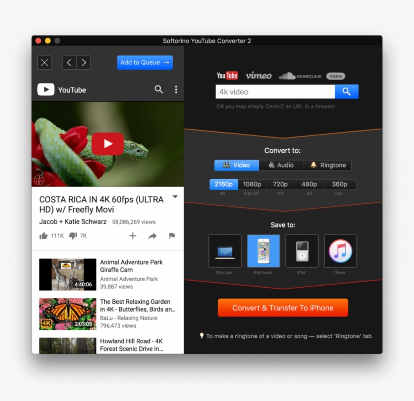 Syc 2 Will Help You Download 4k Youtube Videos - Softorino Youtube Converter, transparent png