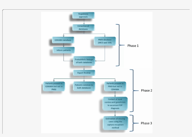 Work Flow Of Study Process - Workflow, transparent png
