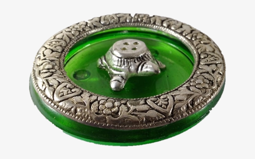 Tortoise, transparent png