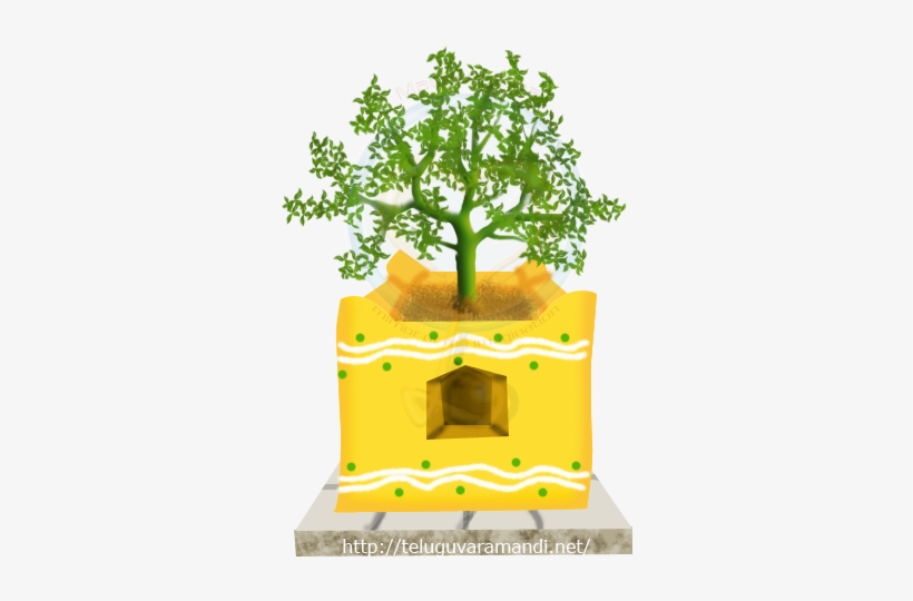 in agasya samhita tulasi is mentioned with great tulsi plant png hd 456x522 png download pngkit in agasya samhita tulasi is mentioned