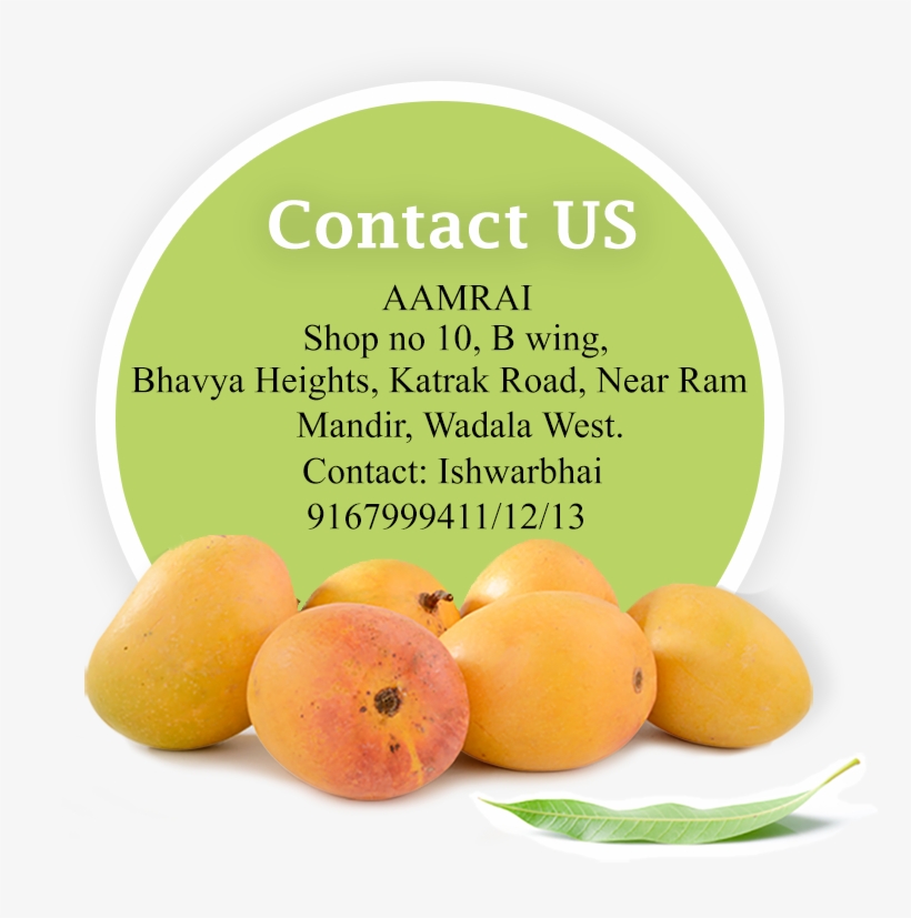 For Bulk Orders Or Any Query - Alphonso, transparent png