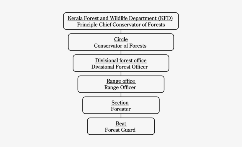 Forest Management Organization In Kerala - Organization, transparent png