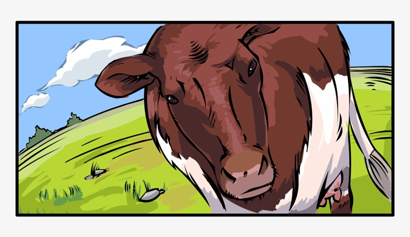A View Of A Cow Staring At Us - Minnesota, transparent png