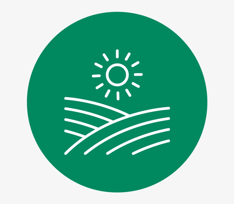 Grow-crops - Automotive Predictive Maintenance Market, transparent png