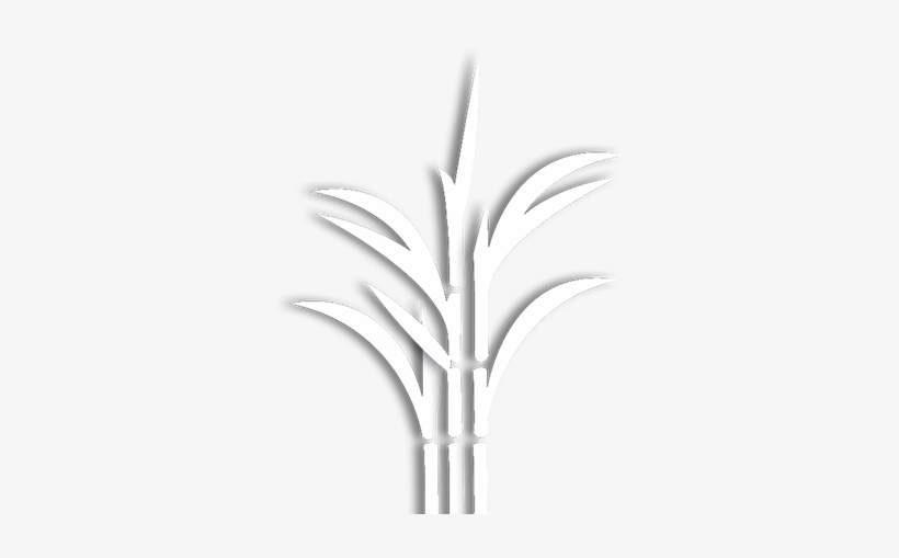 Grass, transparent png