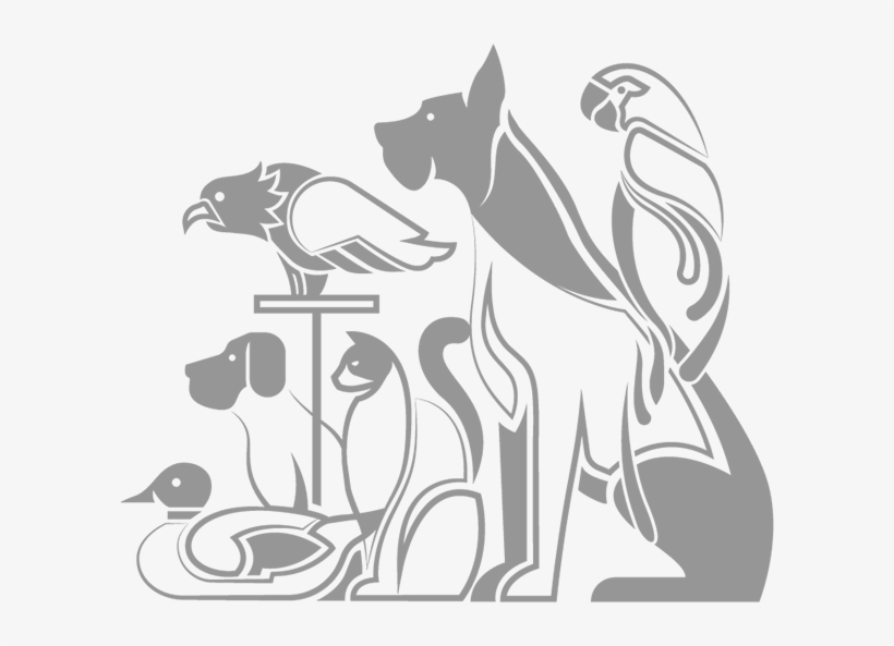 Innova Food & Pharma Is A Hnh Group Company - Facebook, transparent png