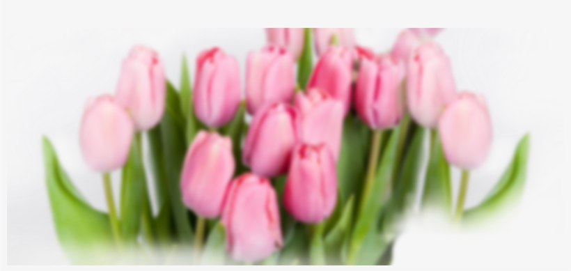Flowers In Sheppey - Flower, transparent png