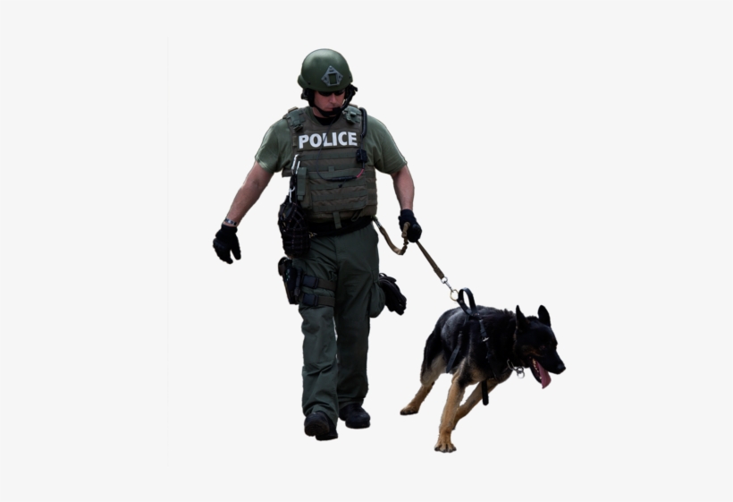 Related Wallpapers - Dog, transparent png
