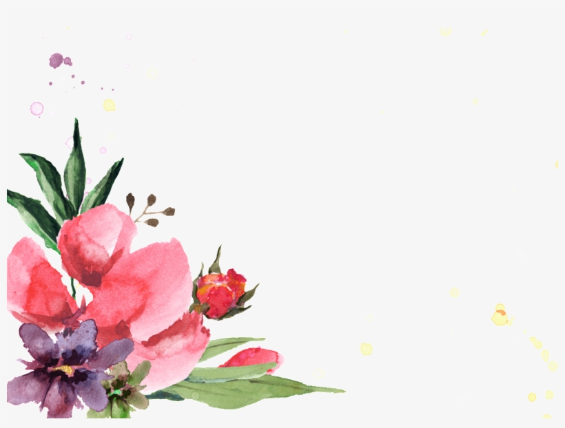 Hand Painted Safflower Flowers And Plants - Flower Border, transparent png