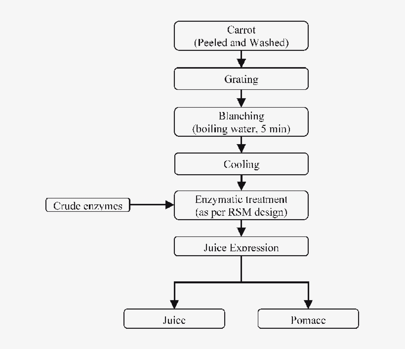 Flow Sheet For The Enzyme Assisted Carrot Juice Expression - Blanching And Enzym Treatment Carrot Juice, transparent png