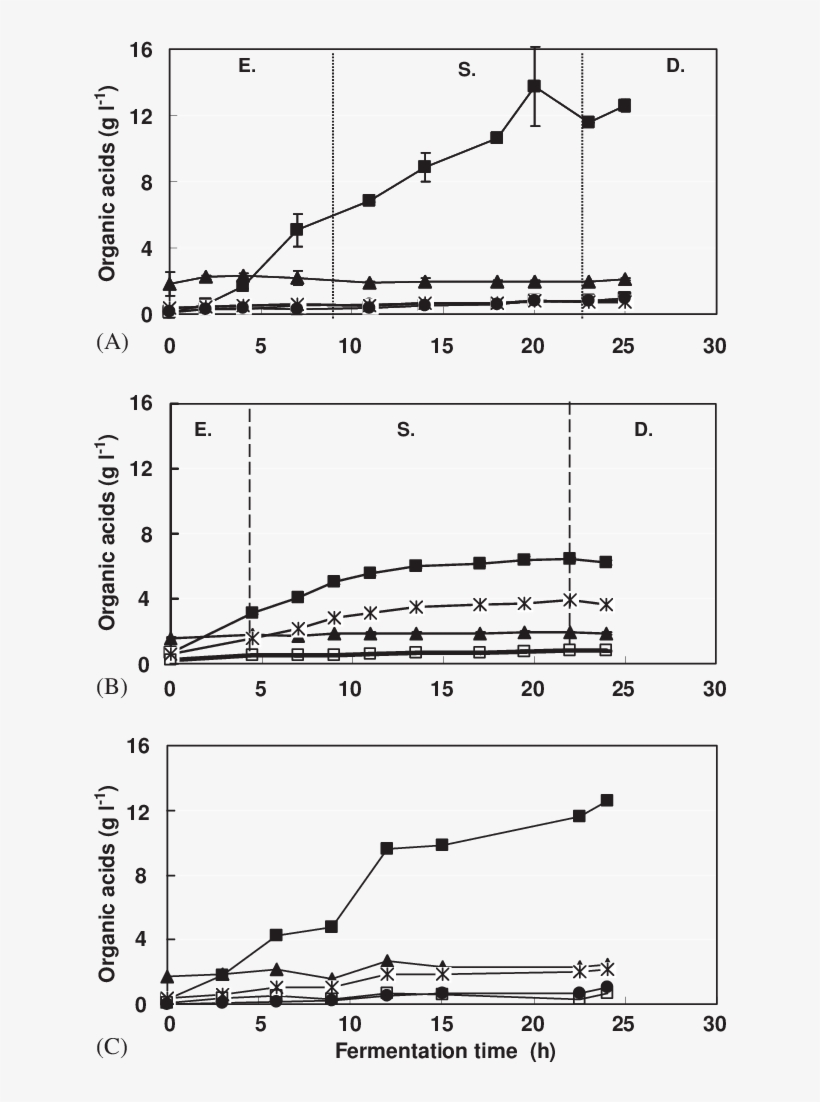 Levels Of Organic Acids In Carrot Juice Fermented (type - Diagram, transparent png