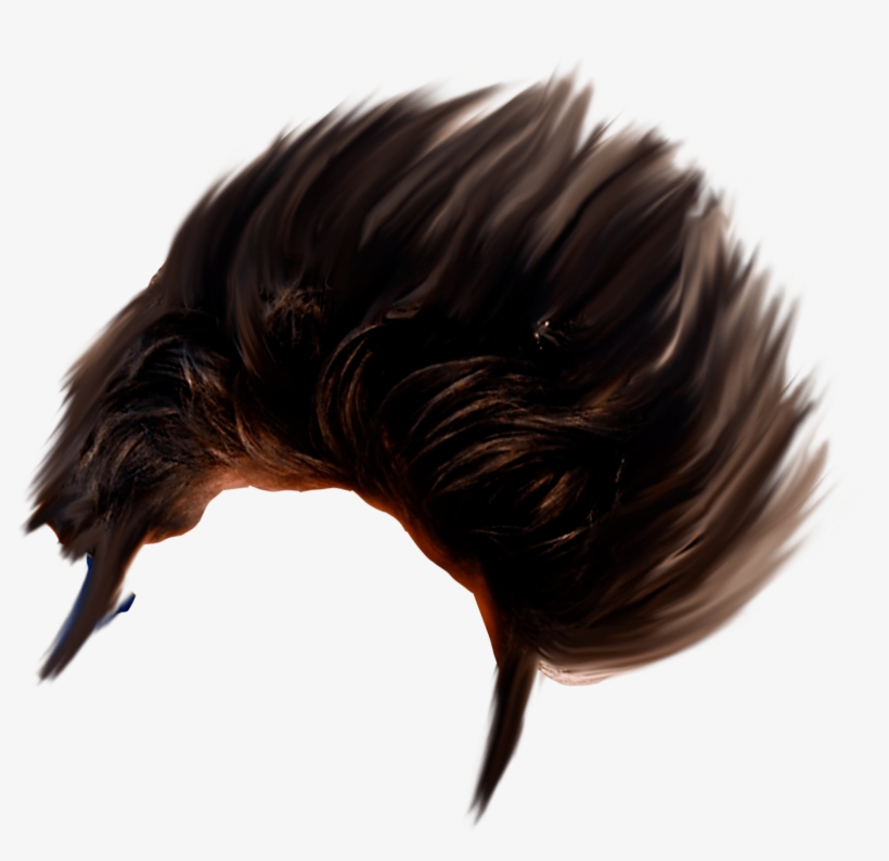 Hair Png - Image Editing, transparent png