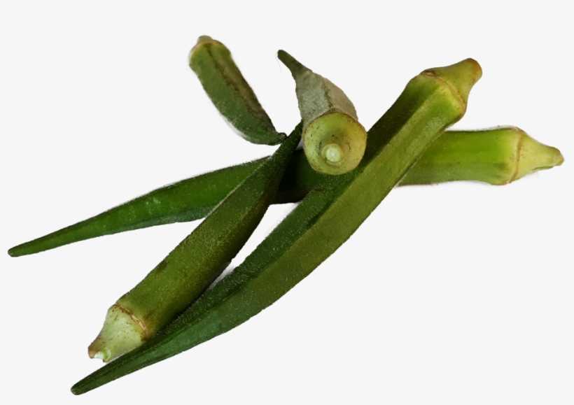 Bhindi Ladies Finger - Okra, transparent png