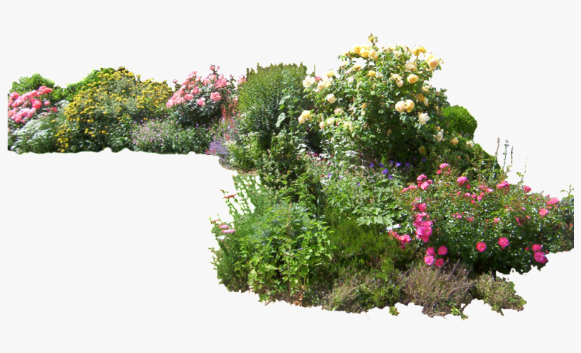 Flower Garden Png - Plants Png, transparent png