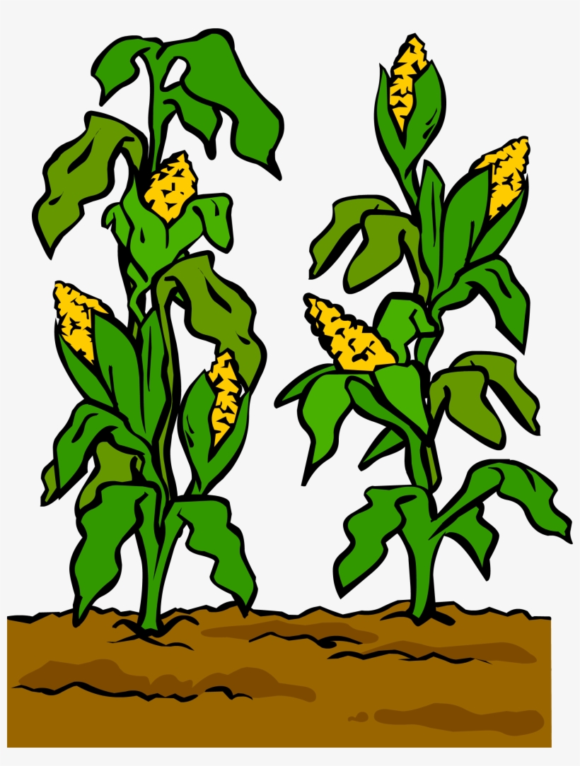 Garden Sprite 003 - Garden, transparent png