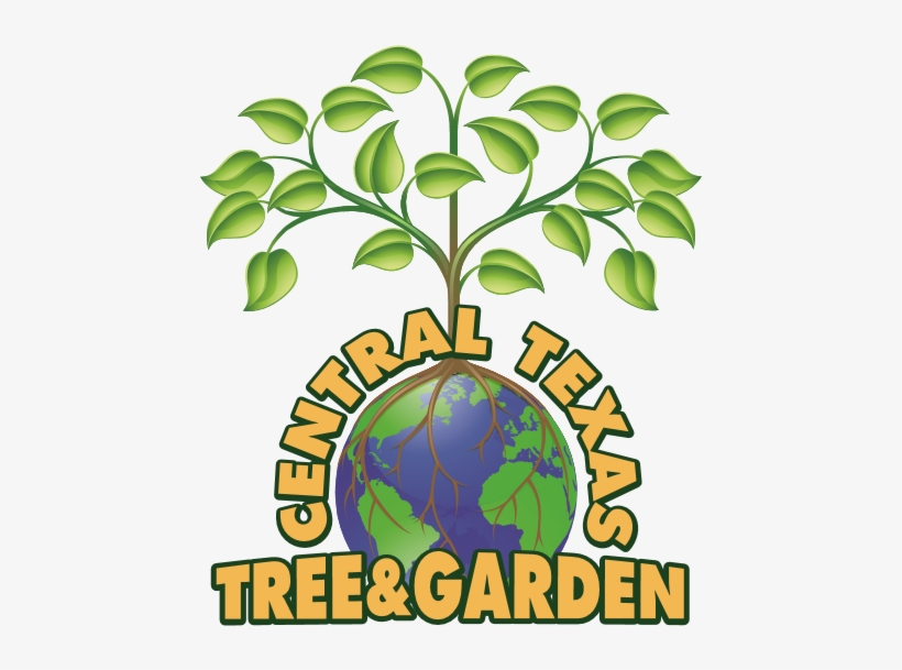 Central Texas Tree And Garden - Globe With Tree, transparent png