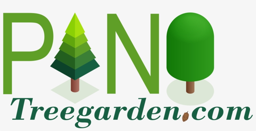 Rejuvenate Your Garden - Illustration, transparent png