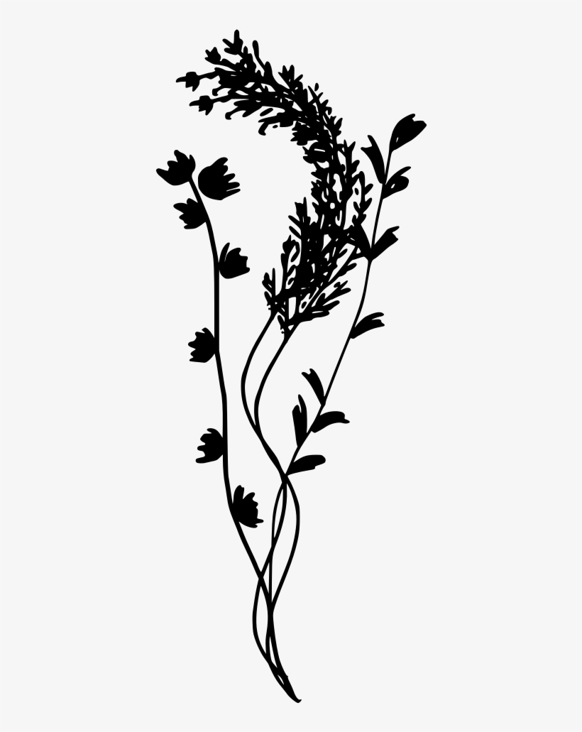 Download Png - Painting, transparent png