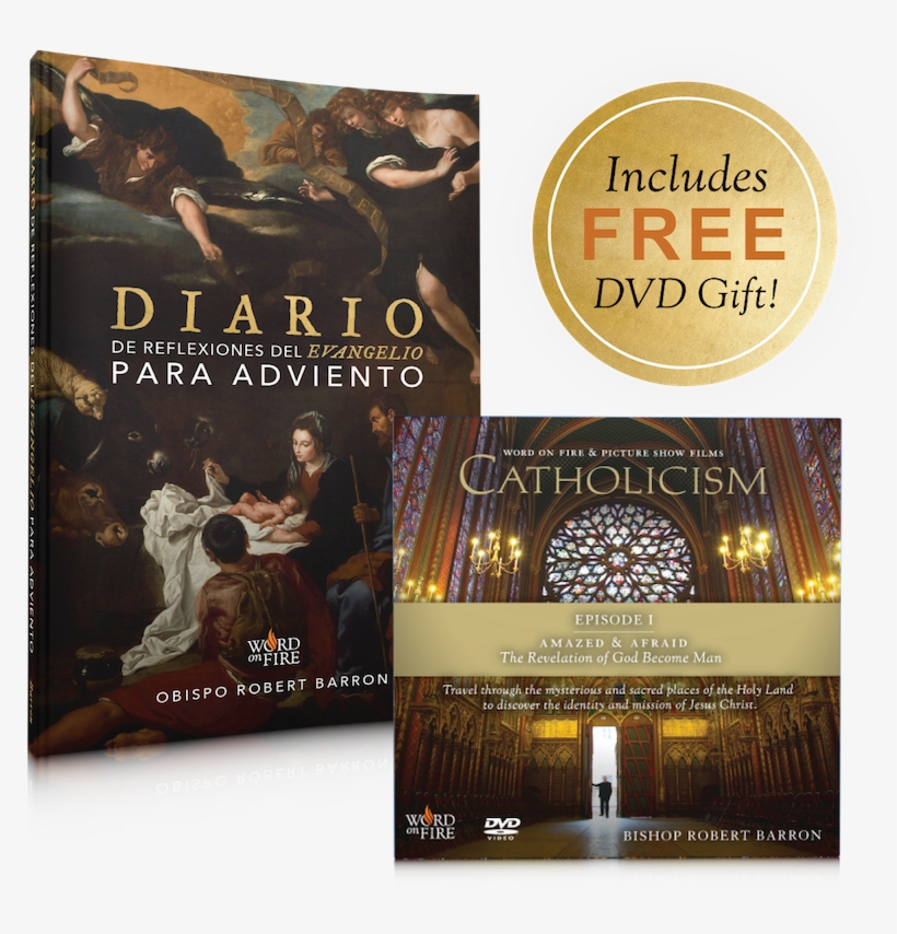 Catholicism: A Journey To The Heart, transparent png