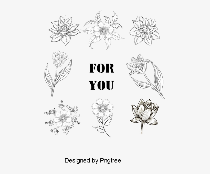 Floating A Variety Of Herbs Spices, Float, Herb, Spices - Want You For Us Army, transparent png