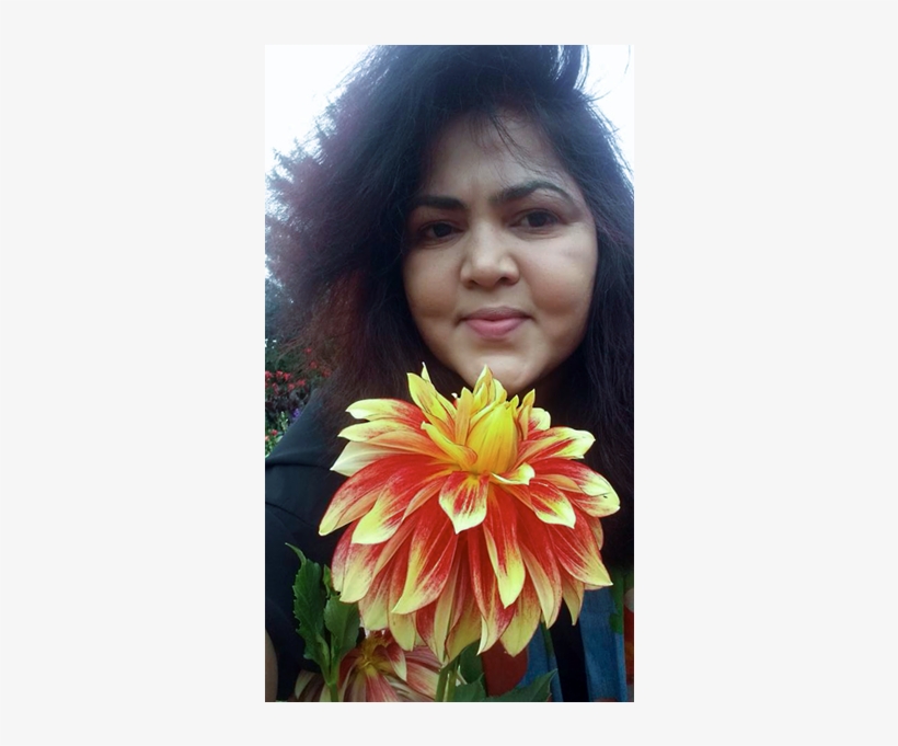 Dahlia, transparent png