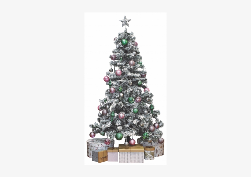 Snow Covered Christmas Tree - Christmas Tree, transparent png