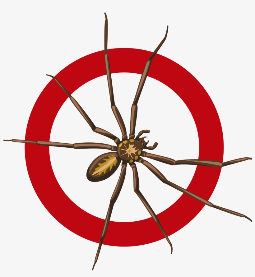 Spiders - Spidercontrol Png, transparent png