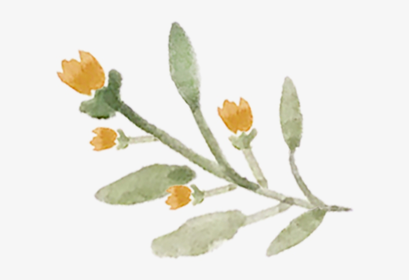 Single Floral 3 - Portable Network Graphics, transparent png