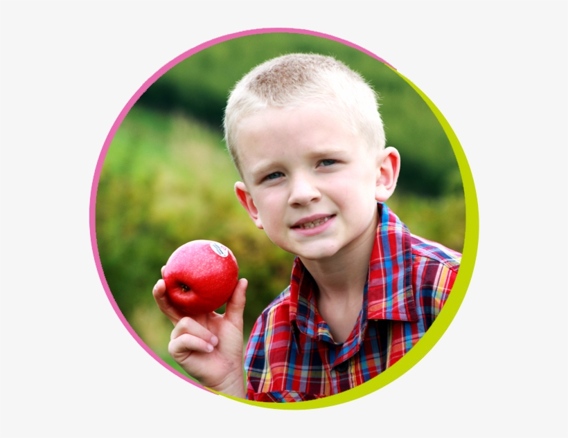 Circle-boy - Portable Network Graphics, transparent png