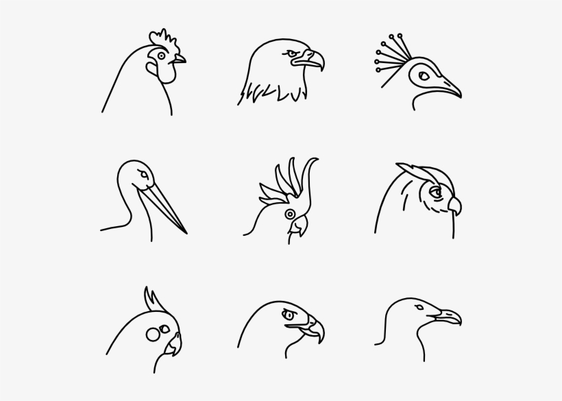 Birds Species - Sketch, transparent png