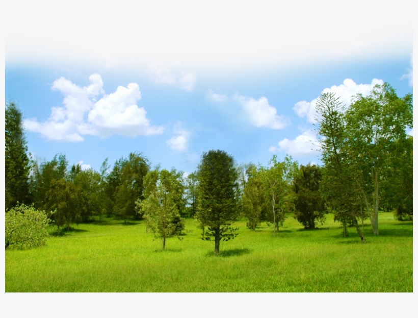 A Cool Dry Place - Grove, transparent png