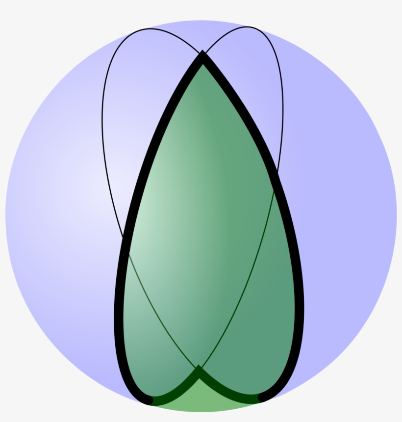 Sfærisk Tokant, transparent png