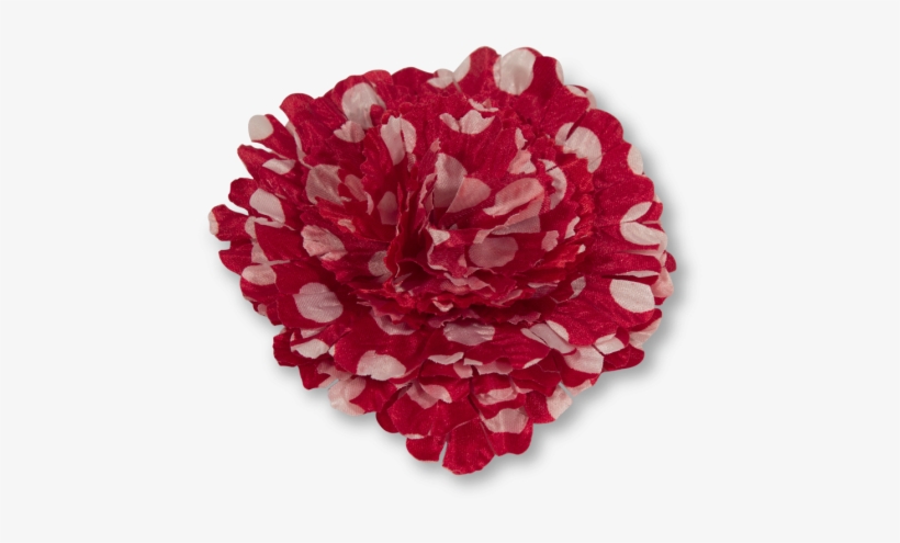 Round The Track - Dahlia, transparent png
