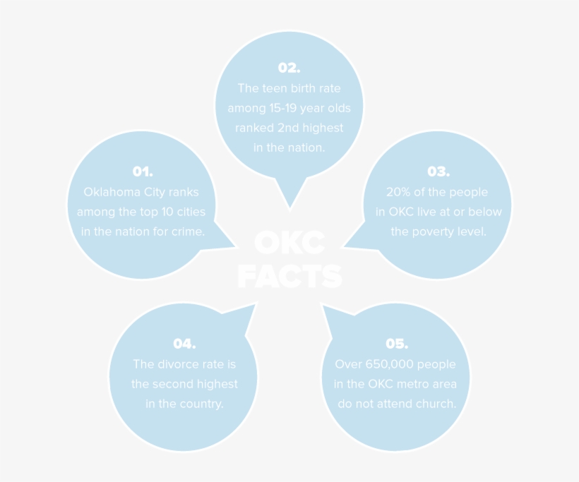 Okc-facts - Insect, transparent png