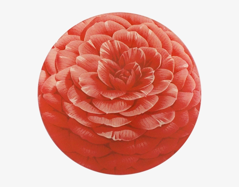 John Derian, transparent png