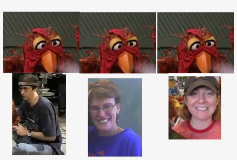Muppet Wiki Behind The Scenes Sesame Street Sing With - The Muppets, transparent png