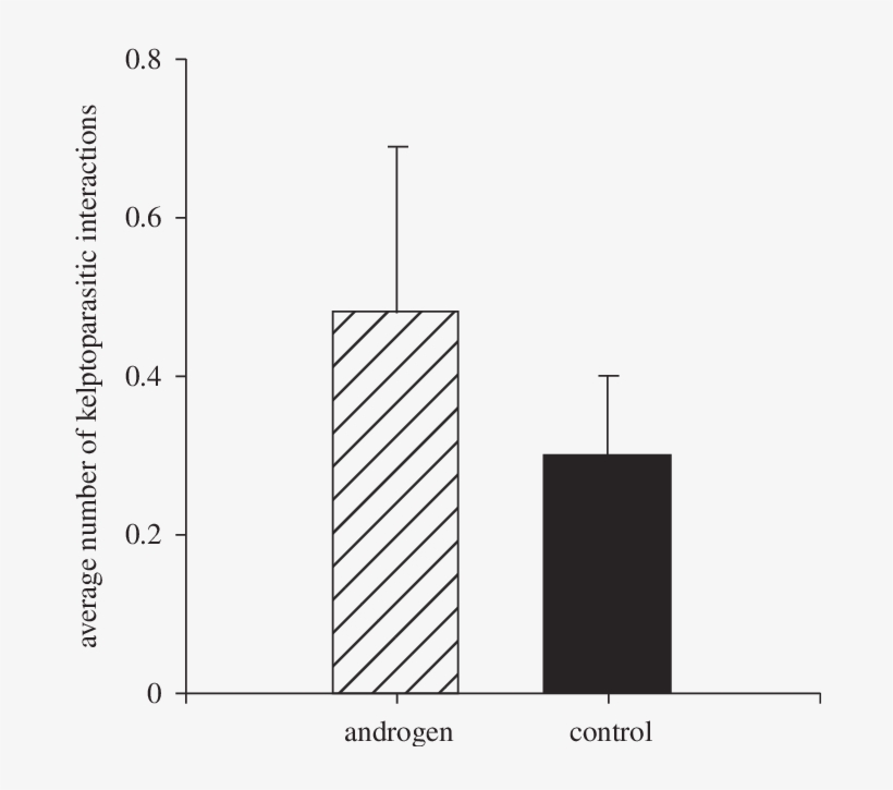 The Number Of Kleptoparasitic Behaviours Shown By Androgen - Mean, transparent png