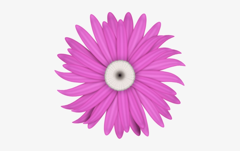 0 588f0 20421667 Orig - Flower, transparent png