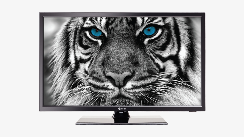 Ledtv 22d1t1 Ledtv Front - Estar Ledtv24d2t2, transparent png