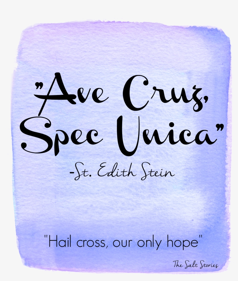 The Salt Stories - Christmas Cute Quotes And Sayings, transparent png