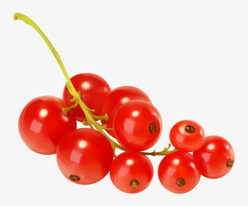 Red Currants Png - Red Currant Png, transparent png