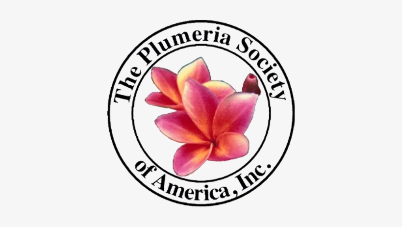 The Plumeria Society Of America, Inc - Plumeria, transparent png
