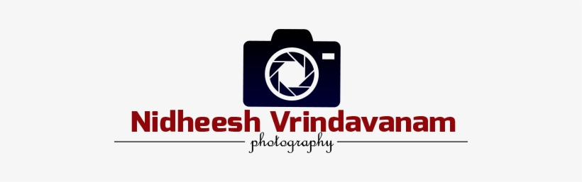 Golden Shower Tree, transparent png