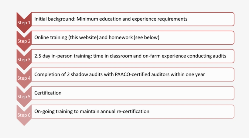 At The End Of The In Person Training , Trainees Must - Mentor Program Outline, transparent png