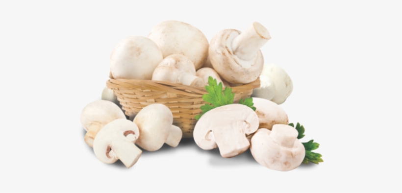 Mushroom - Fresh Mushrooms, transparent png