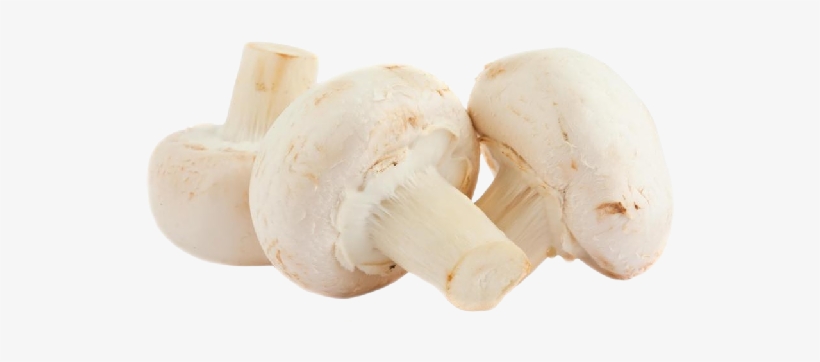 Mushrooms Button - Champignon Mushroom, transparent png
