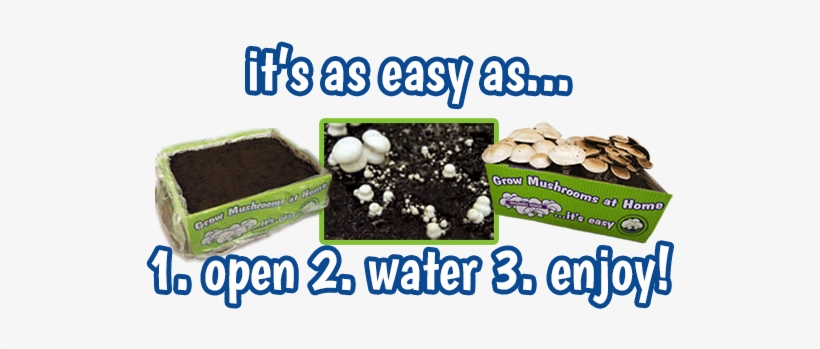 The Mushroom Compost Has Already Been Prepared And - Plant Mushroom At Home, transparent png